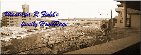 Wwordpress初心者の館